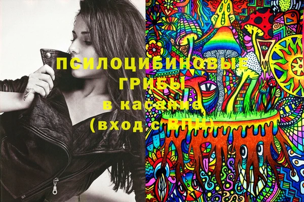 PSILOCYBIN Костерёво