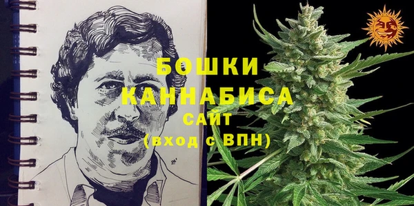 крисы Коряжма