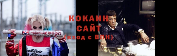 крисы Коряжма