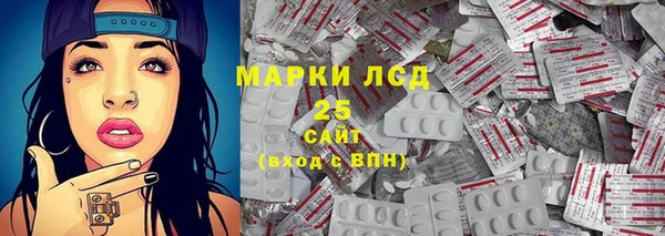 PSILOCYBIN Костерёво