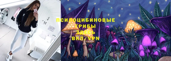 крисы Коряжма